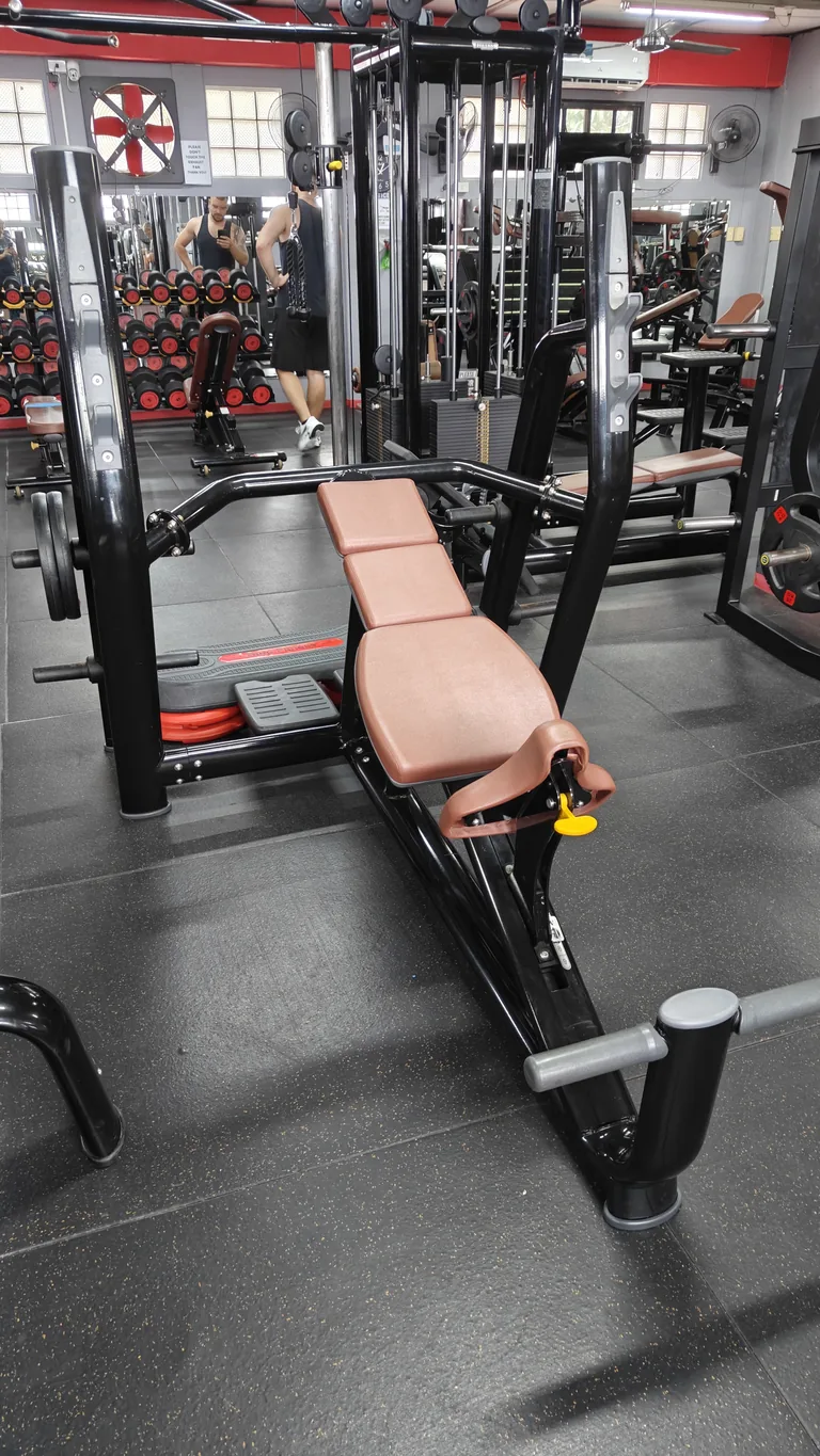 Plate-loaded leverage incline press at TM Fitness Hub in Valencia, Negros Oriental